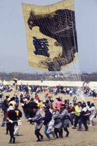 the World Kite Festival